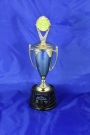 2014-1 St Patrick's  - First place - Non-profit
