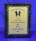 2014-2 ACSC/SOS Spring Safari Parade - Best - Shag Club Troupe